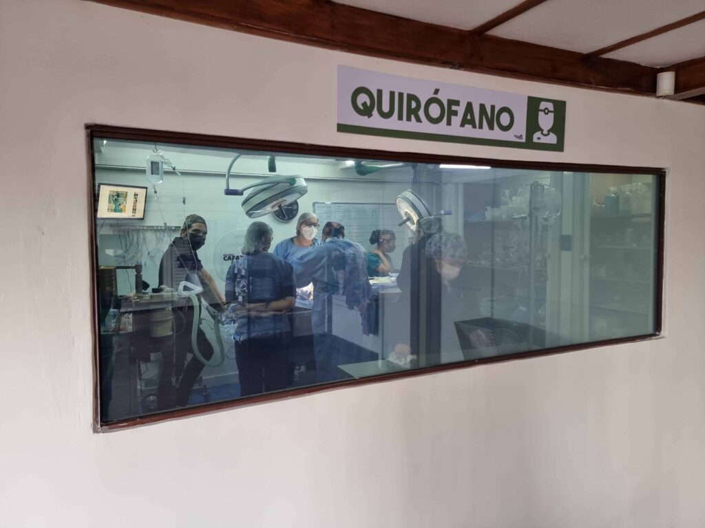 Pabellón quirúrgico del Centro Veterinario Dr. Cafati