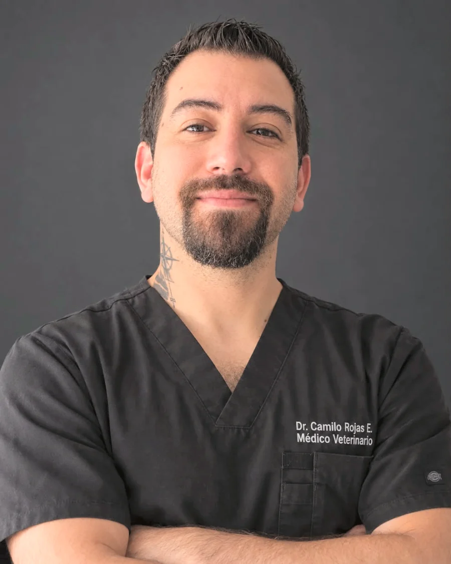Dr. Camilo Rojas E., Traumatología y Ortopedia Veterinaria del Centro Veterinario Dr. Cafati