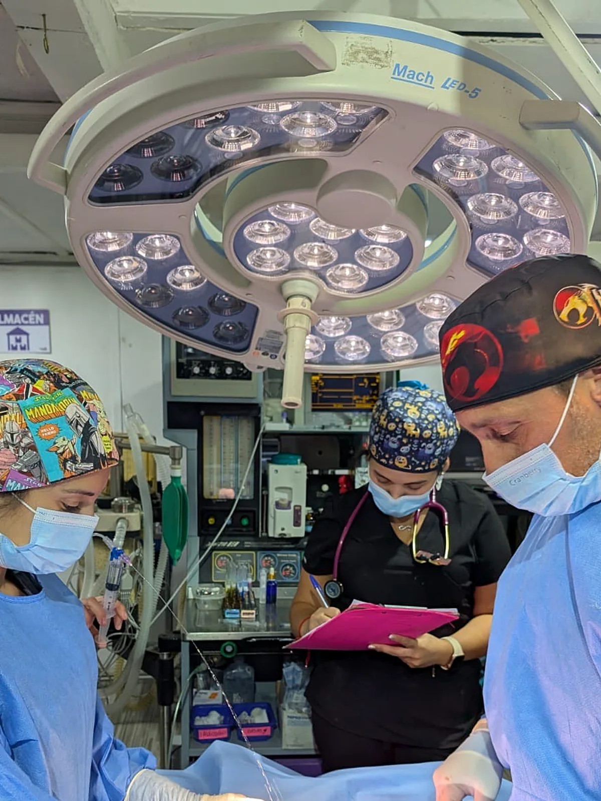 Equipo del Centro Veterinario Dr. Cafati durante una cirugía en el pabellón quirúrgico de la clínica en La Reina, con lámpara quirúrgica LED y monitorización anestésica